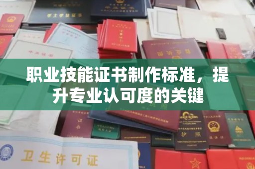金湾职业技能证书制作标准，提升专业认可度的关键