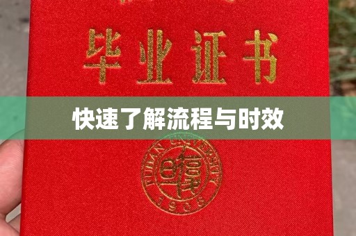 金湾快速了解流程与时效