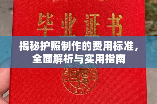 金湾揭秘护照制作的费用标准，全面解析与实用指南