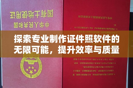 金湾探索专业制作证件照软件的无限可能，提升效率与质量